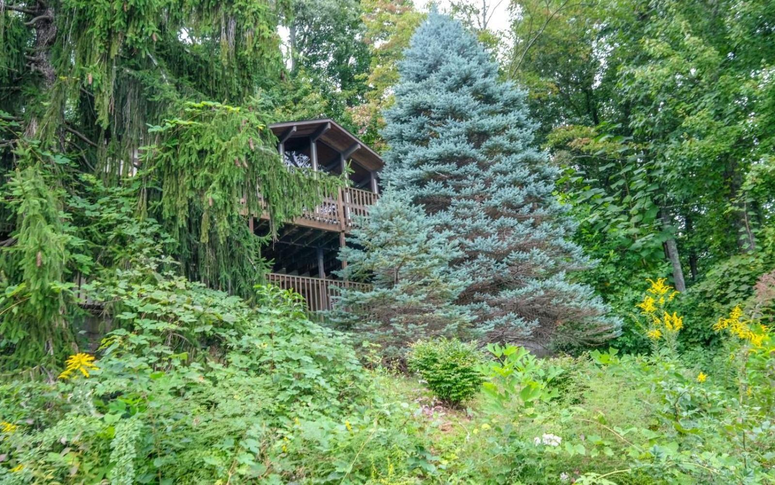 Three Pines 2139 Βίλα Gatlinburg Εξωτερικό φωτογραφία